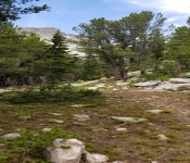 2018 07 Montana Bbackpacking 070